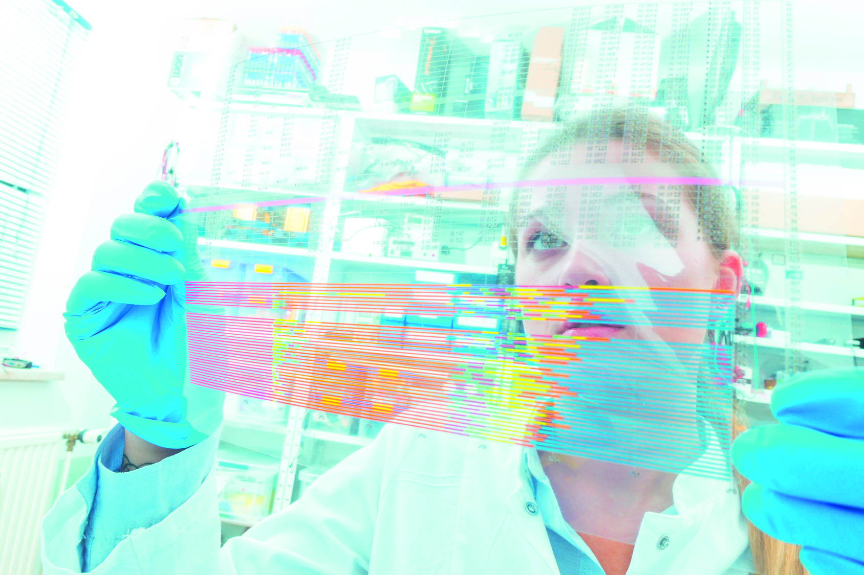 Comment fonctionne le doctorat en France ?  Campus France